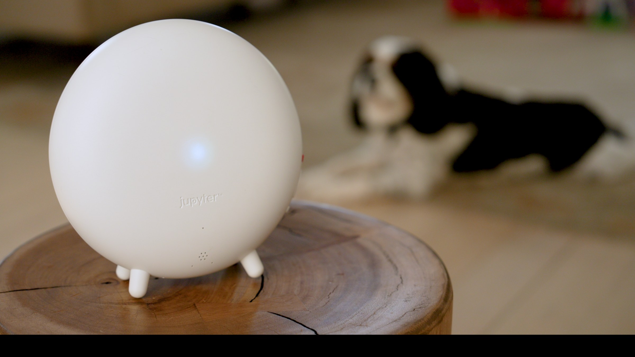 The Indoor Halo on a stool in a family room