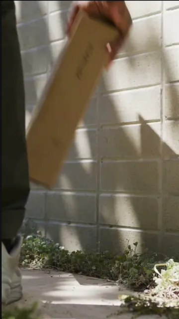 Still from the short ParcelAI